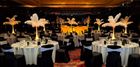 The Party and Events Company
