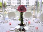 Designer Flowers