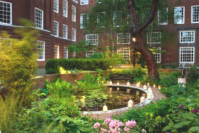 BMA House - The Garden