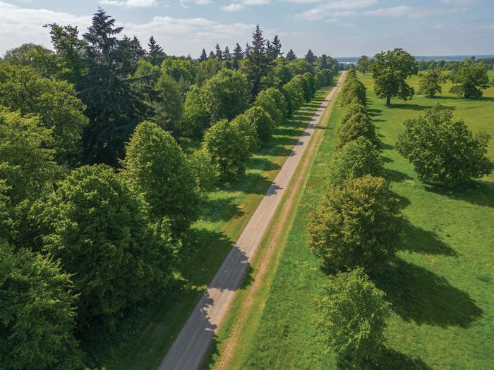 Hatfield Park - Parkland