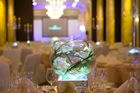Sustainable Led Lit Crystal, Frosted (Full Moons) and Faux Flower Globes