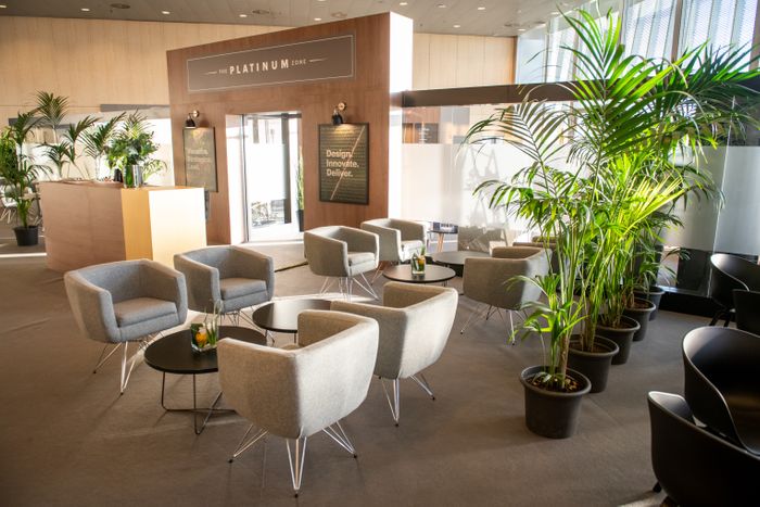 Dzine International Furniture Hire