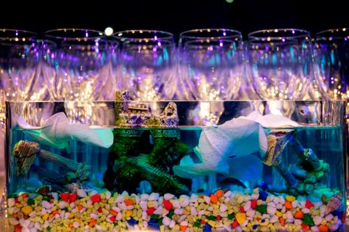 Sea Life London Aquarium Party