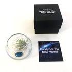 Token Event Gifts - Mini Terrarium Kit