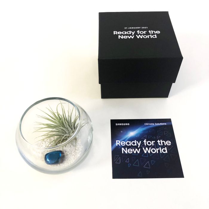 Token Event Gifts - Mini Terrarium Kit