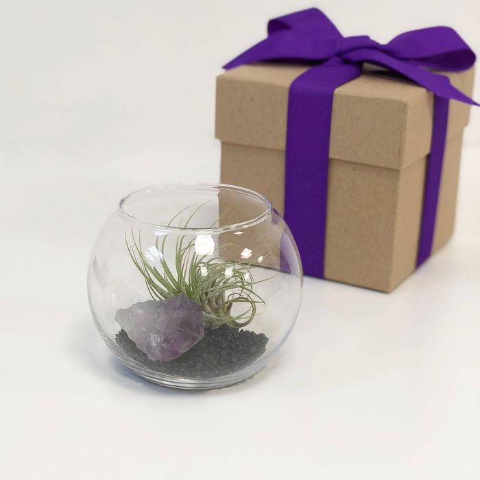 Token Event Gifts - Mini Terrarium Kit