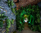 Foliage Tunnels
