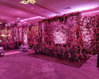 Photo Backdrops