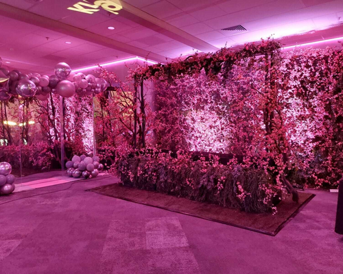 Photo Backdrops