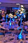The Party and Events Company