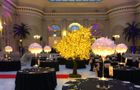 The Party and Events Company