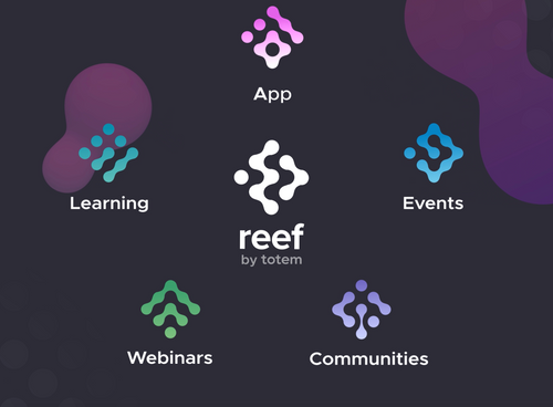 Reef and Backstage by Totem