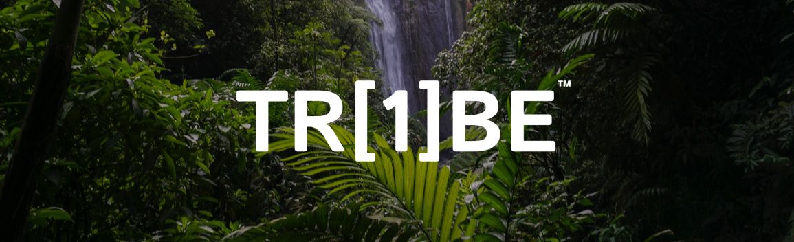 One Tribe (TR1BE)