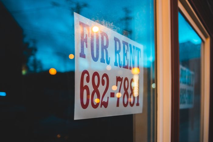 Who is the data landlord?