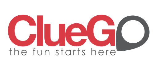 ClueGo Ltd