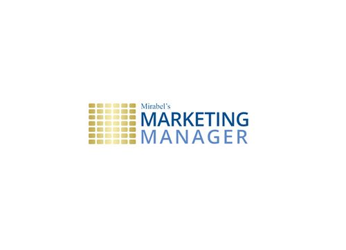 The Marketing Manager