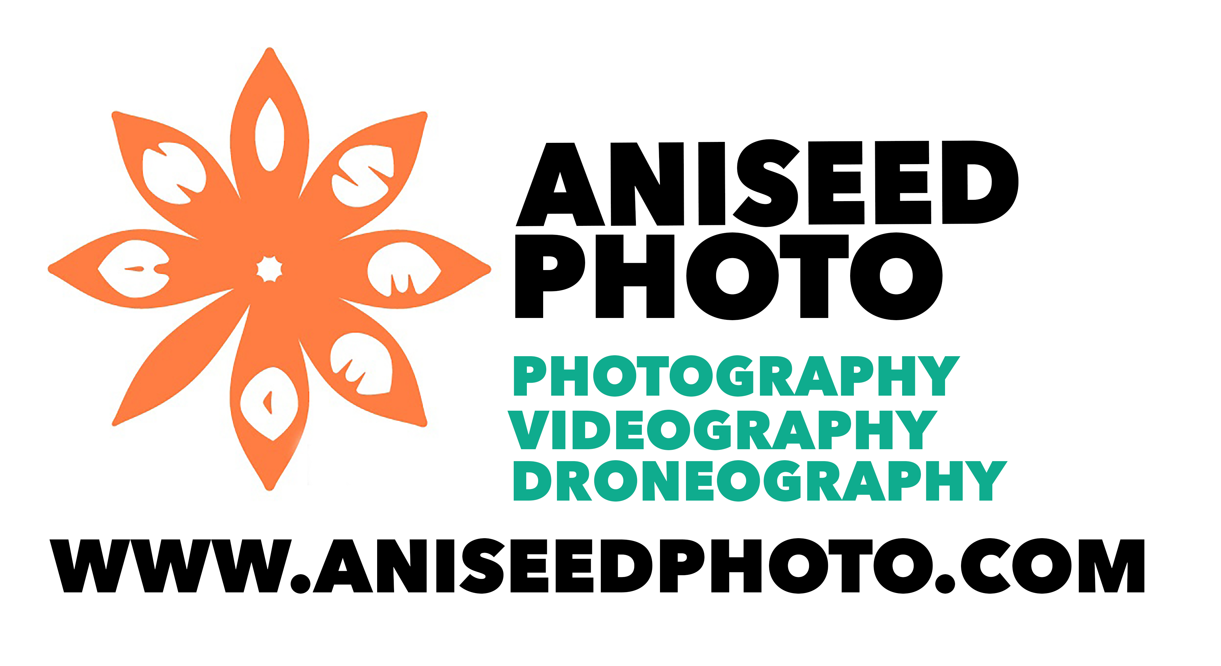 Aniseed Photo Logo