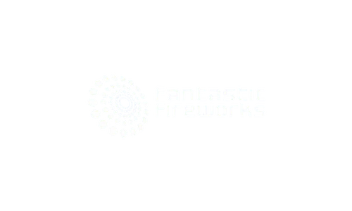 Fantastic Fireworks