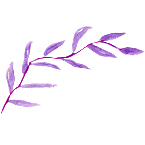 DC Floral