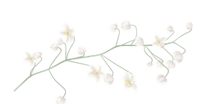 PA Floral