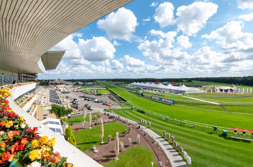 ARC becomes first racecourse group to partner with The Delegate Wranglers