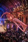 Christmas Party at the Natural History Museum