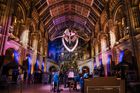 Christmas Party at the Natural History Museum