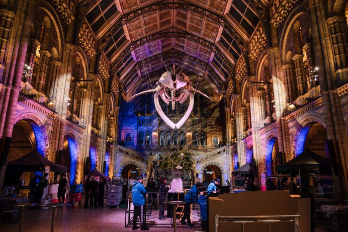 Christmas Party at the Natural History Museum