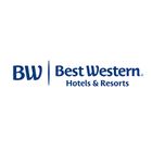 Our Brand Portfolio