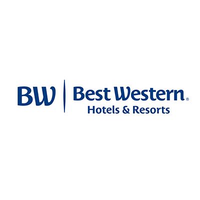 Our Brand Portfolio