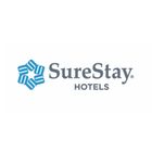 Our Brand Portfolio
