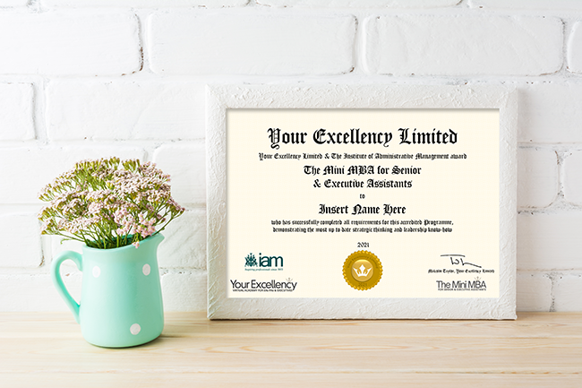 The Mini MBA for Senior & Executive Assistants