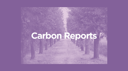 Carbon Reports