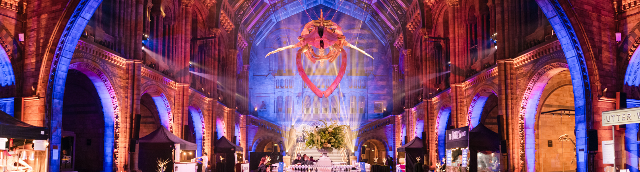 N.I.C.E. (New Independent Conference Experts) Ltd