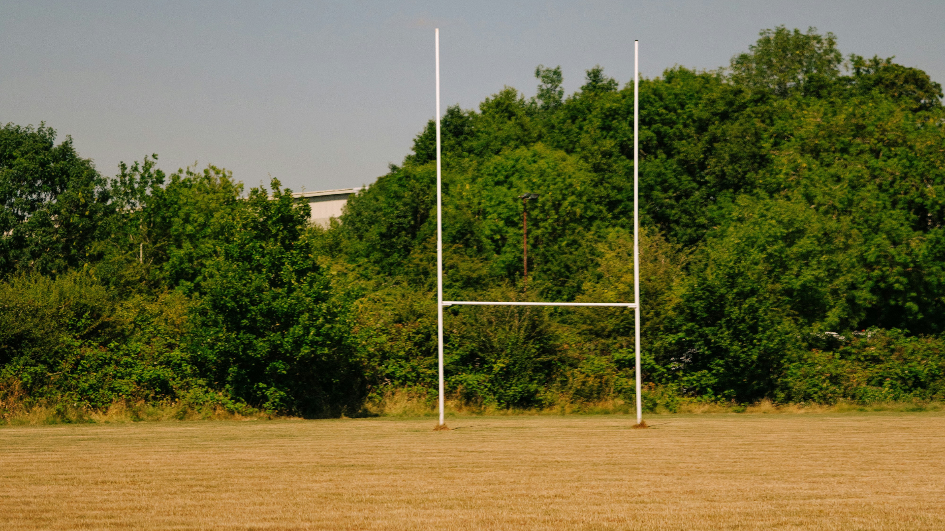 RFU Postpones Competitive Rugby Season Over Player Welfare and Pitch Concerns