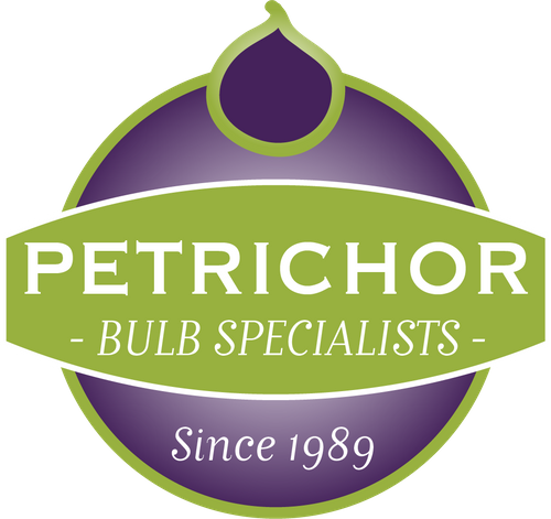 Petrichor Bulb Specialist