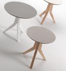 TOULIP low table