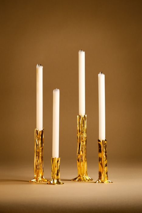 ARBOR Collection