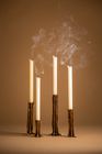 ARBOR Collection
