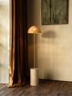 Arvin collection