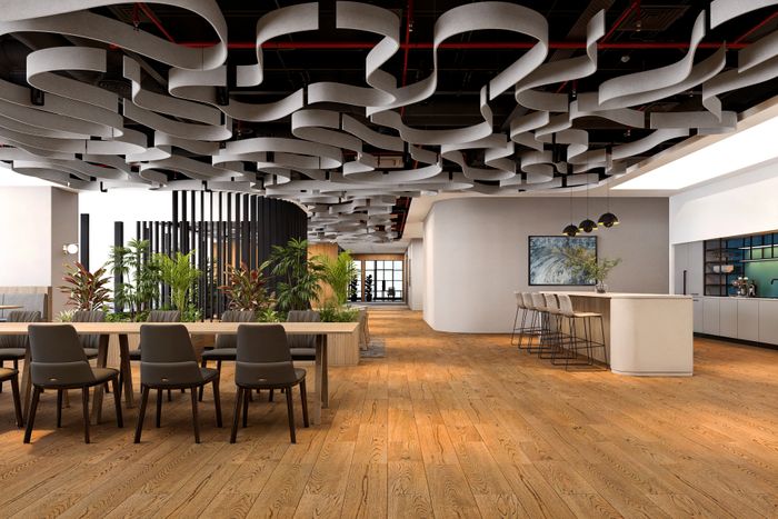 Flow Ceiling Baffles