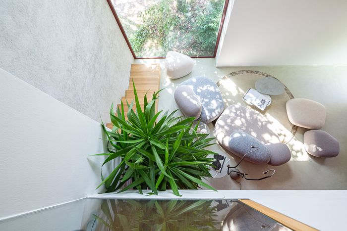 Moroso Collections