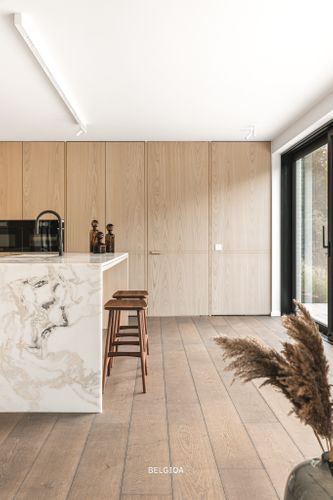 BELGIQA - OAK 2