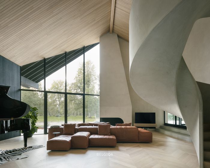 BELGIQA - OAK 6