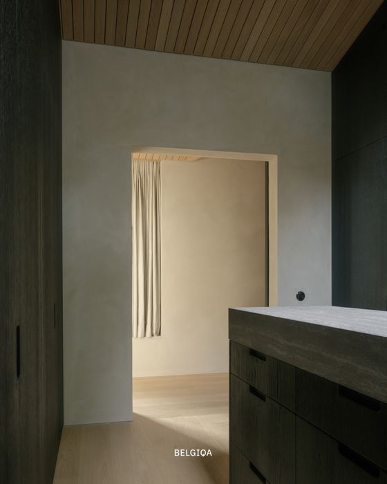 BELGIQA - OAK 6