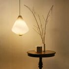 Paleo Lamp