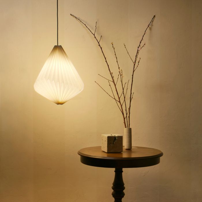 Paleo Lamp