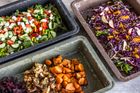 Luups Gastro Trays