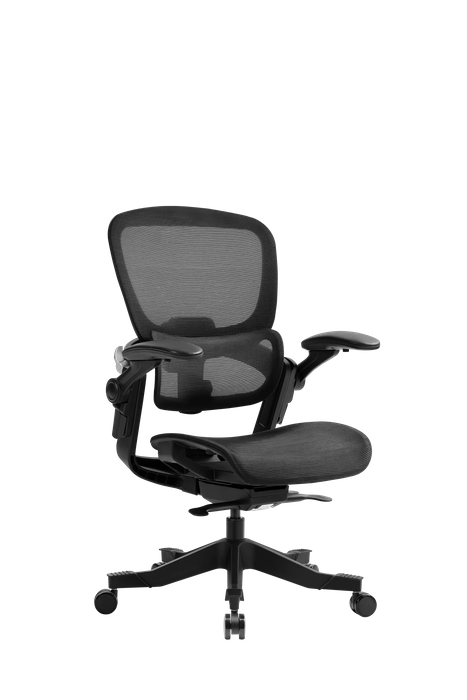 HINOMI H1 Classic V3 Ergonomic Office Chair