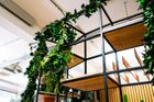 Plexus Décor